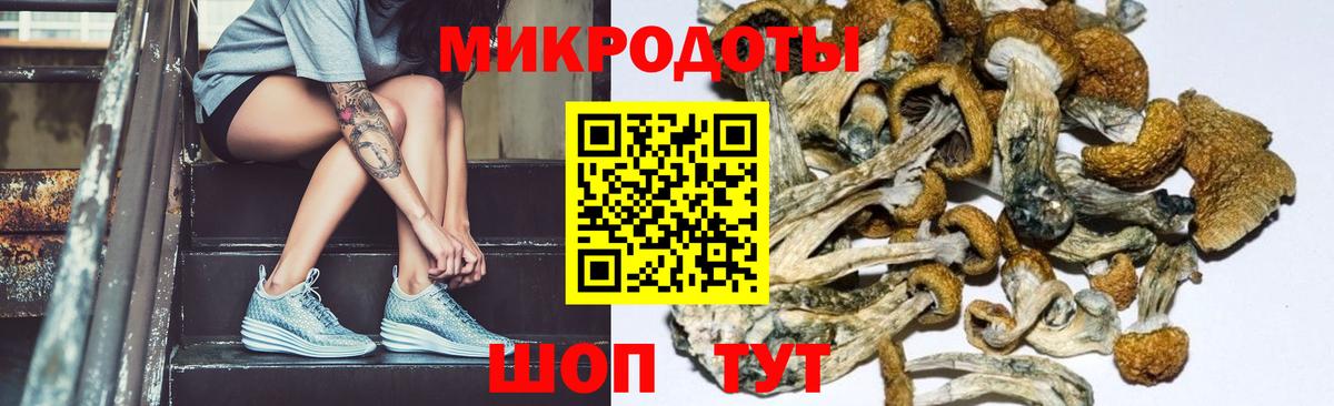 Галлюциногенные грибы Psilocybine cubensis  цена наркотик  Котельники  Галлюциногенные грибы Magic Shrooms  Вход с VPN 