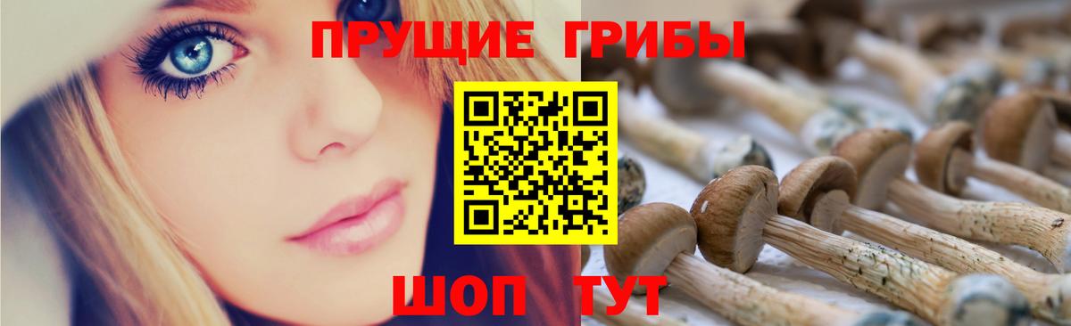 Псилоцибиновые грибы мицелий Котельники