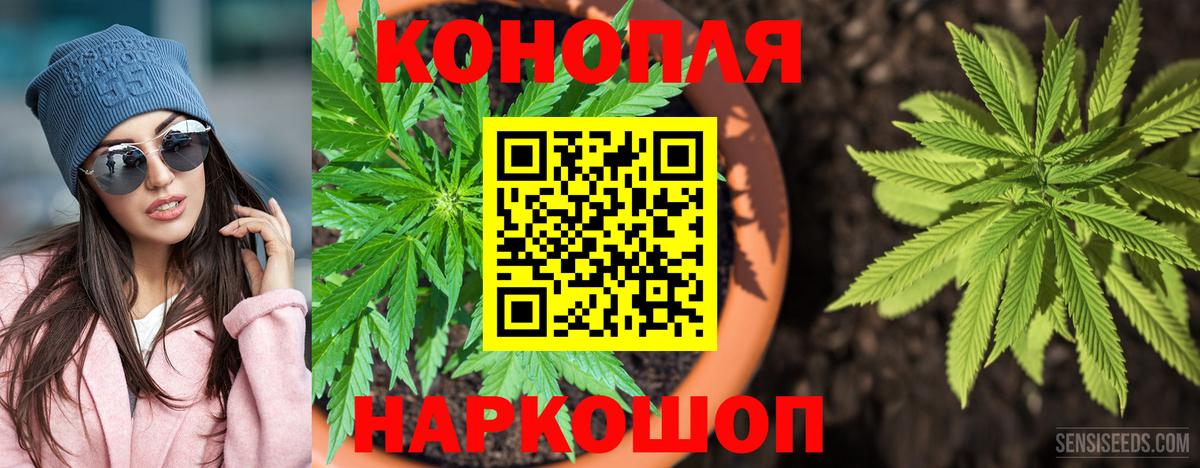 Котельники  Бошки марихуана Amnesia  Канабис Amnesia  Вход с VPN  Бошки Шишки OG Kush 